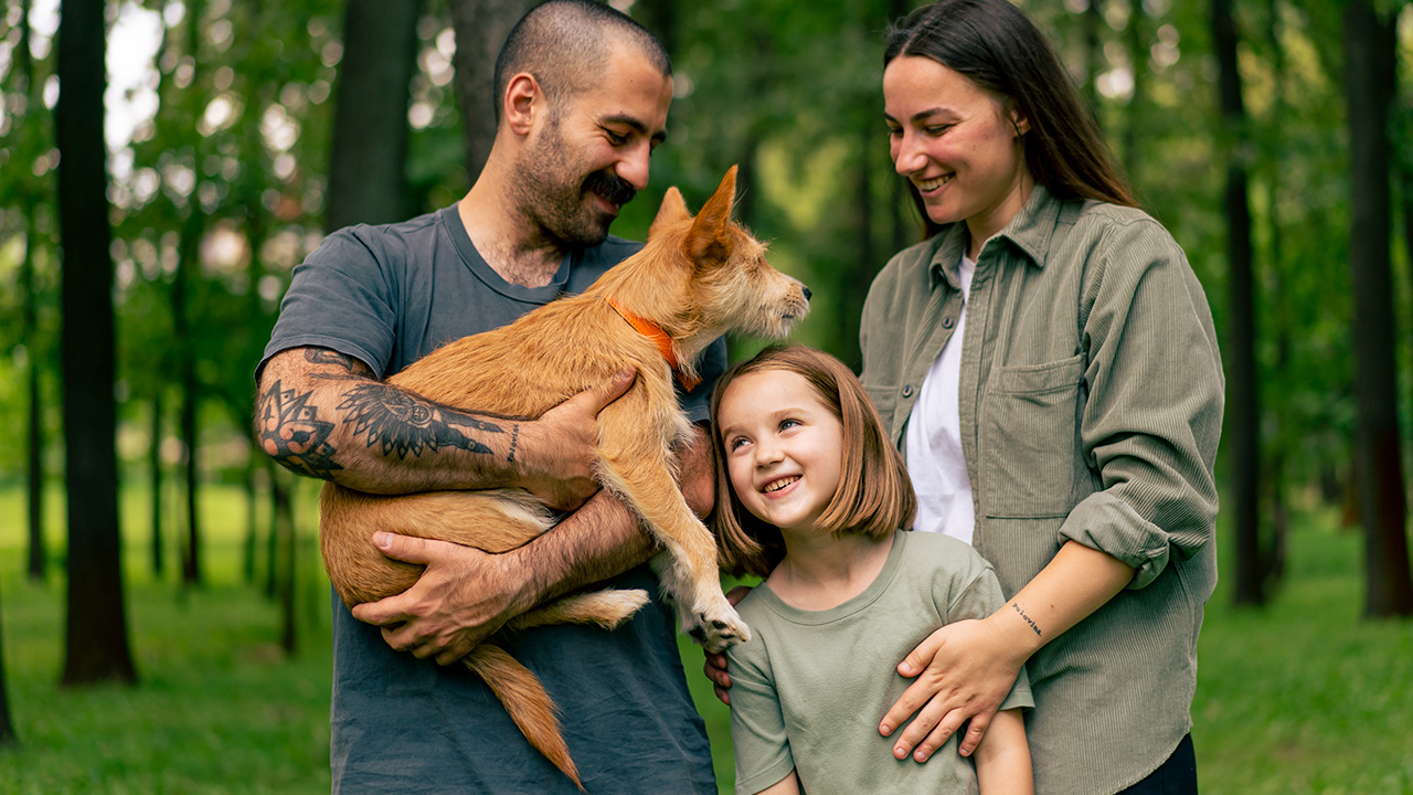 Yeni Sahiplenilen Köpeğe Yapılması Gerekenler Nelerdir?