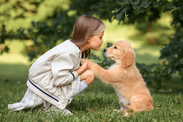 puppy dönemi ödül maması
